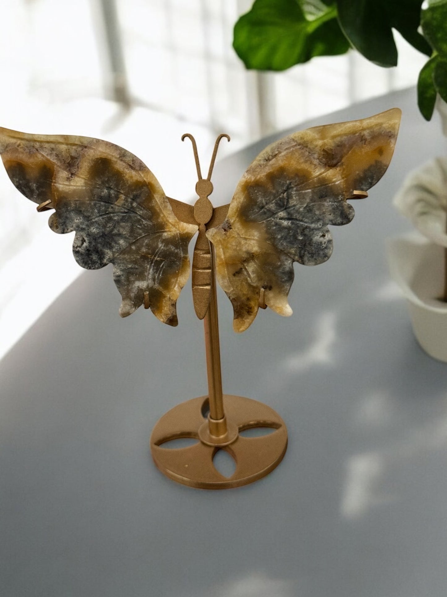 Bumblebee Jasper