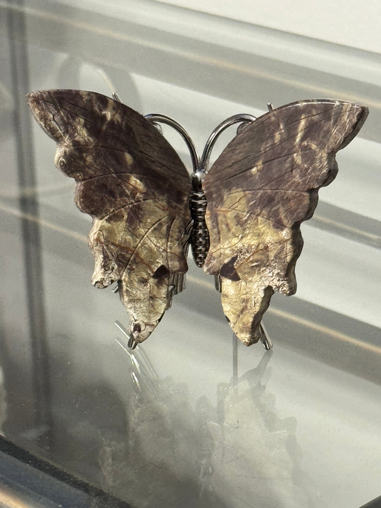 Choose Your Stone: Crazy Lace Agate, Picasso Stone, Golden Healer or Petrified Wood Butterfly with attached Stand