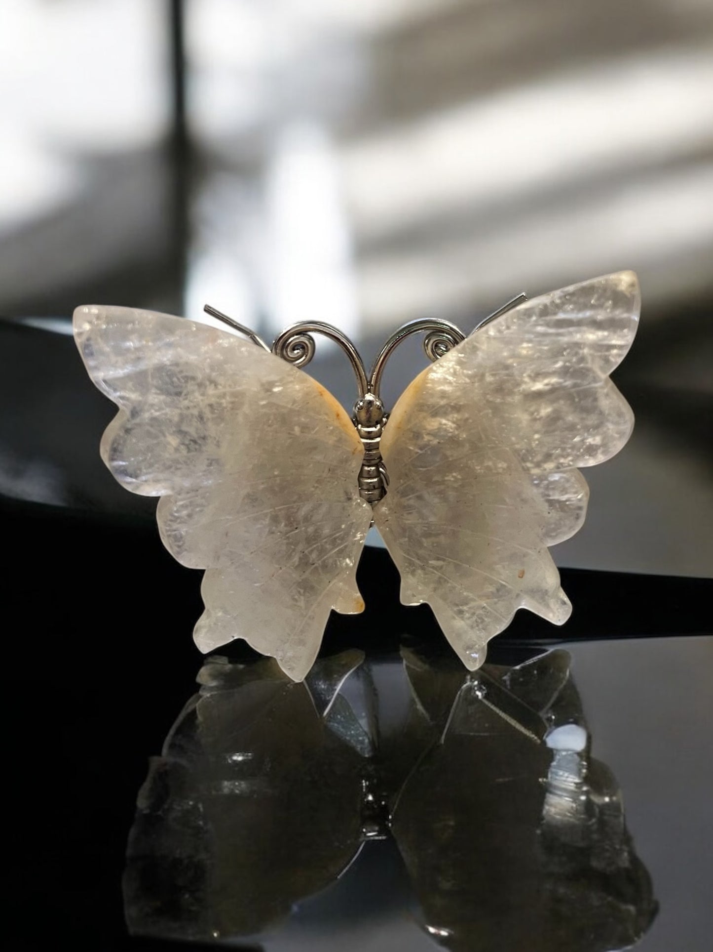 Choose Your Stone: Crazy Lace Agate, Picasso Stone, Golden Healer or Petrified Wood Butterfly with attached Stand