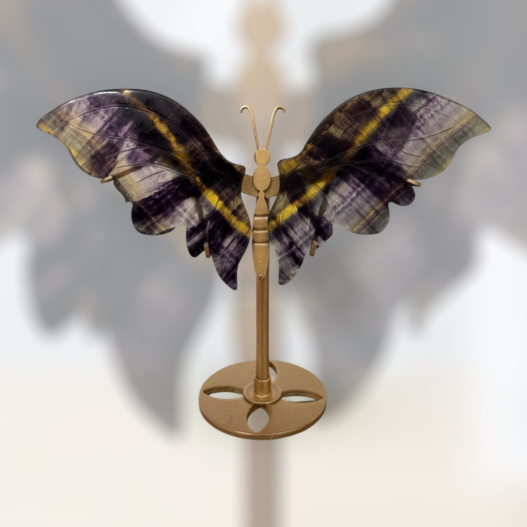 Fluorite Butterfly
