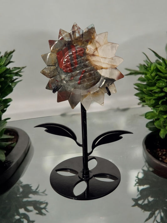 Bloodstone Sunflower