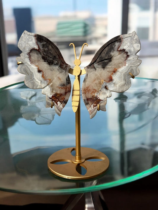 Crazy Lace Agate Butterfly
