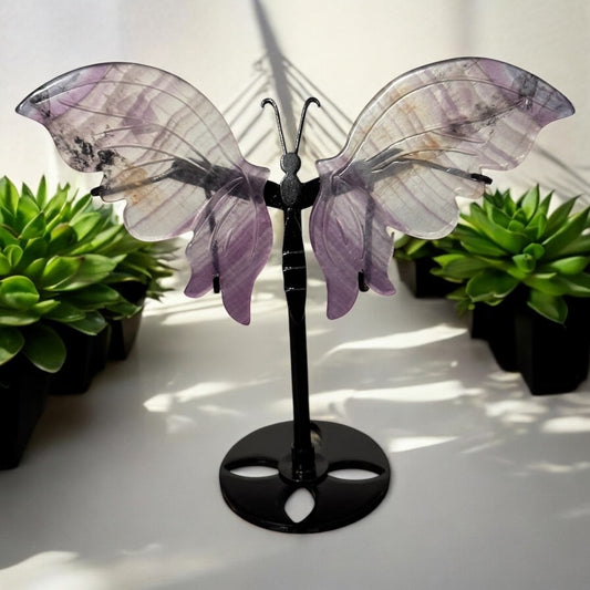 Fluorite Butterfly